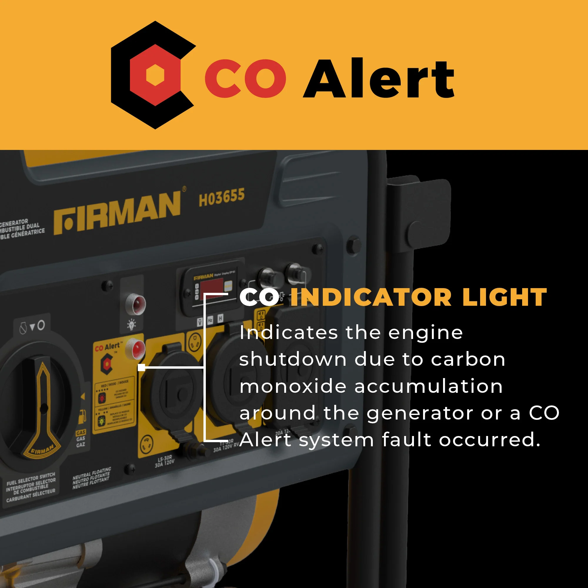 Dual Fuel Portable Generator 4550/3650W Recoil Start - Image 5