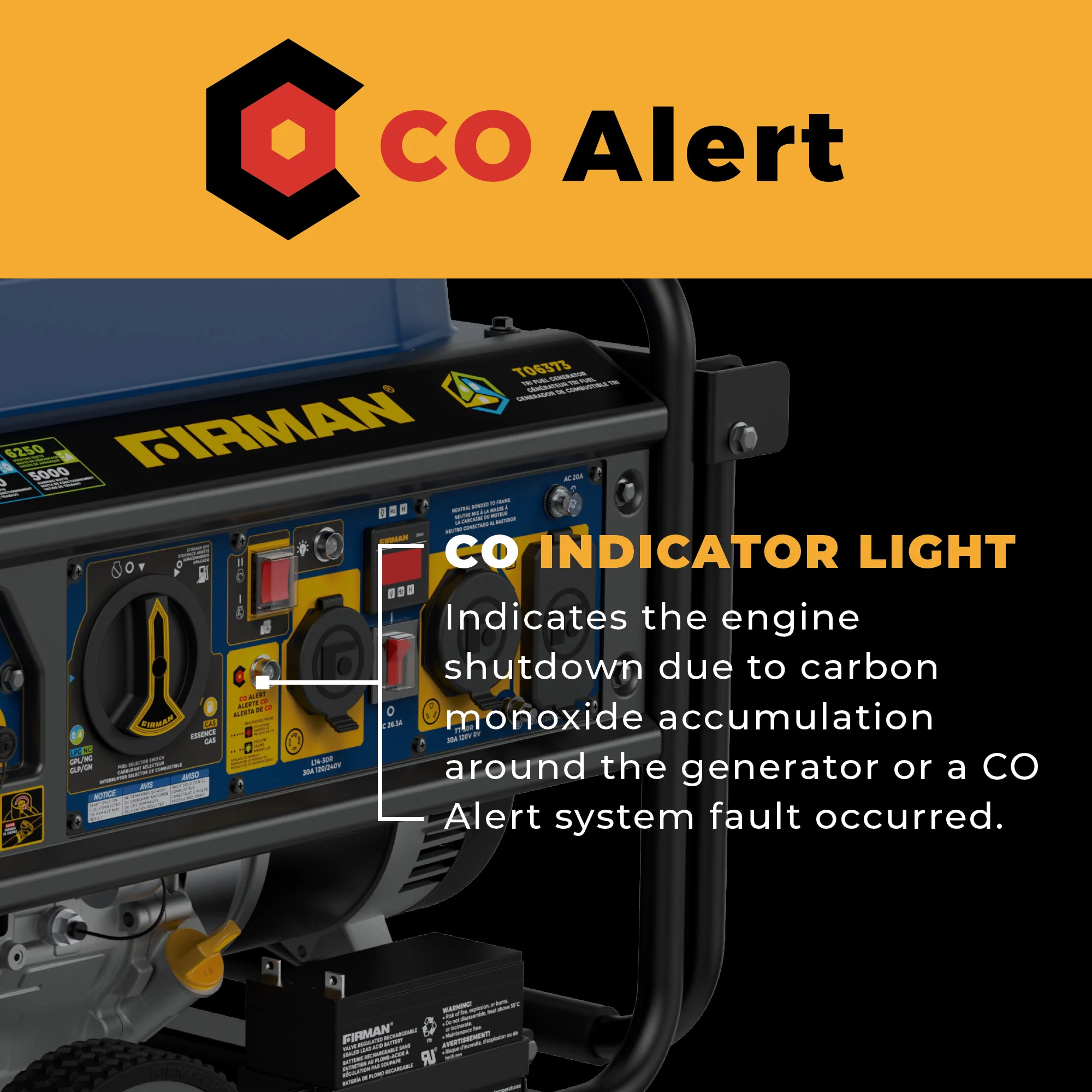Tri Fuel Portable Generator 7850/6300W Electric Start Gas CO Alert - Image 6