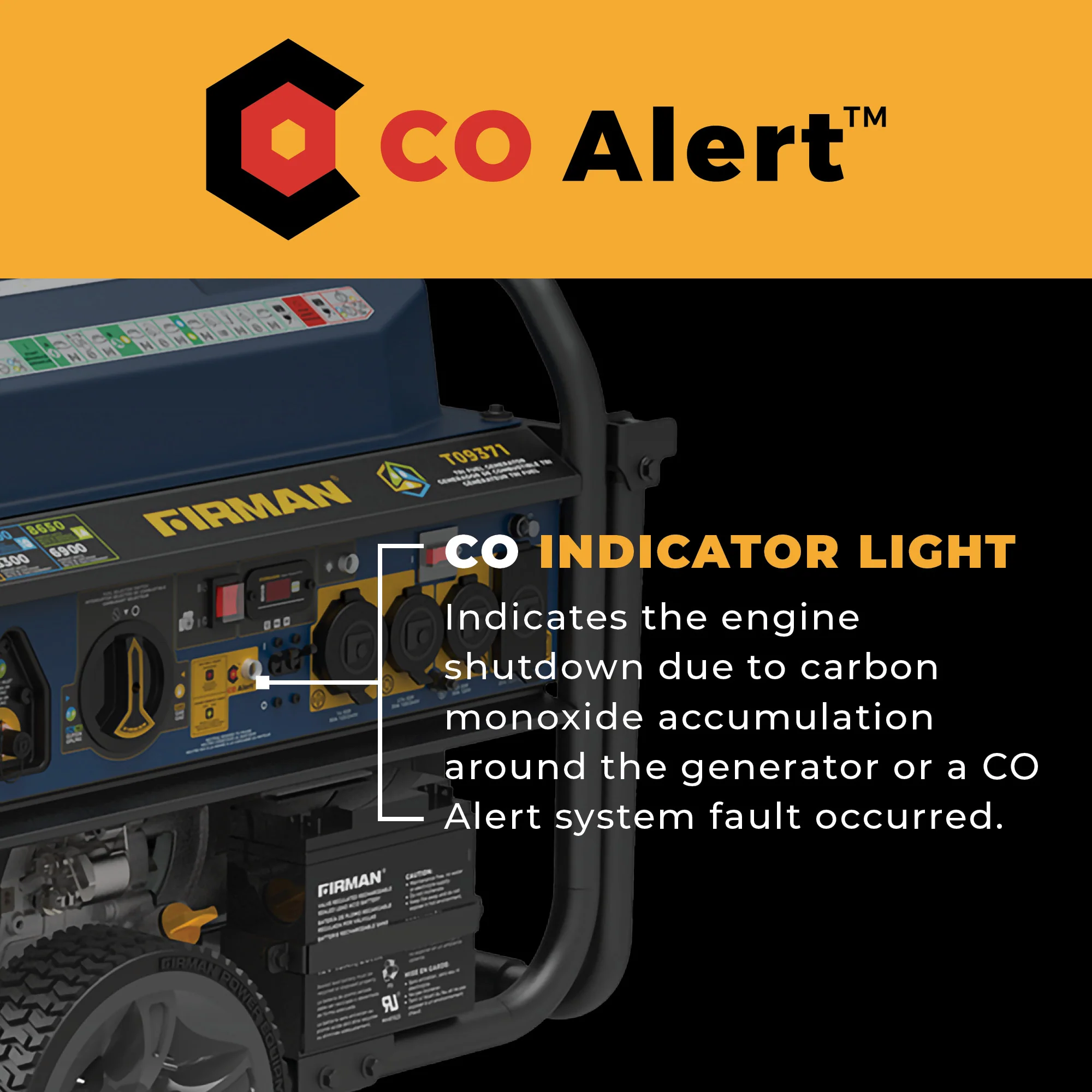 Tri Fuel Portable Generator 11600/9300W Electric Start 120V/240V with CO alert - Image 7