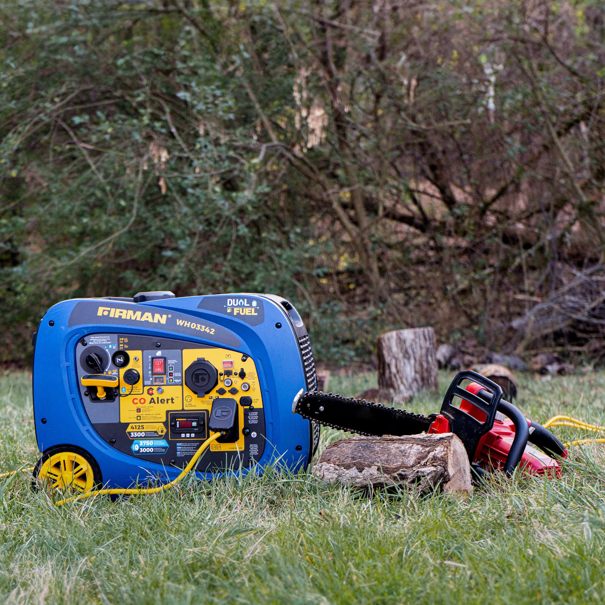 Dual Fuel Inverter Portable Generator 4125W Electric Start with CO ALERT - Image 14
